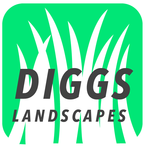 diggs-logo